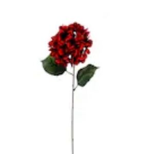 Meet your Posher, Roberta